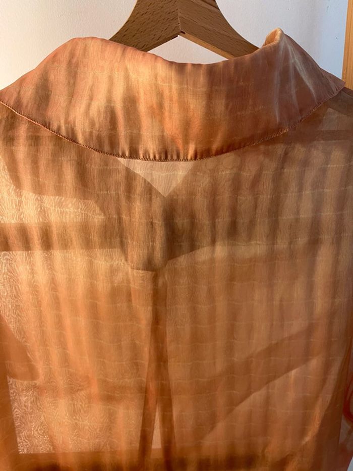 chemise transparente - photo numéro 5