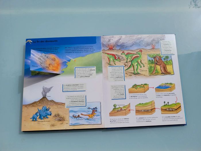 Livres animé à volets Les dinosaures, Les P'tits savants (24) - photo numéro 7