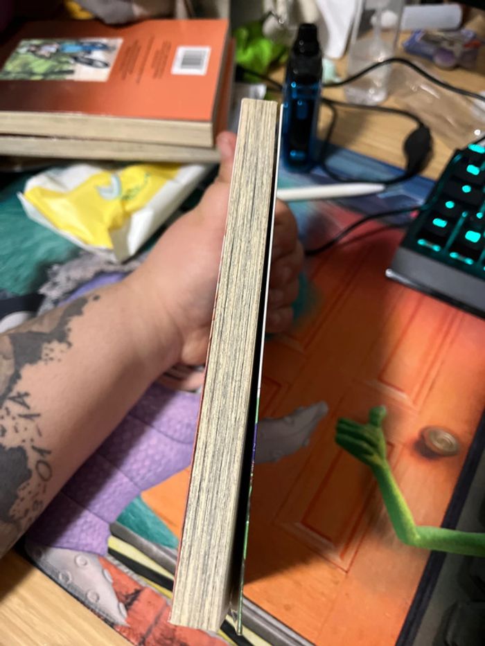 Fairies’landing tome 2 - photo numéro 4