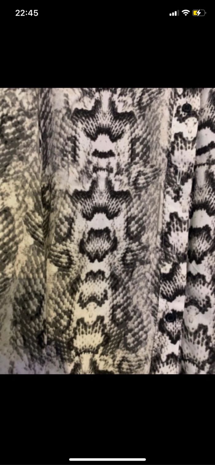 Chemise - photo numéro 2