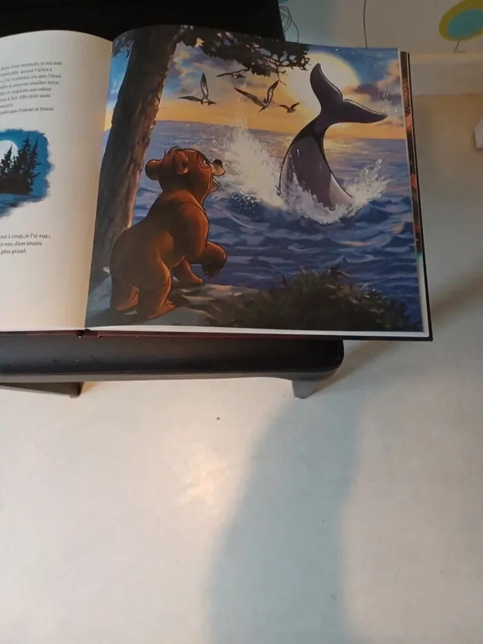 Livre disney - photo numéro 4