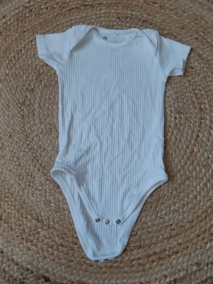 Lot de 7 bodies été 86/92 cm - photo numéro 8