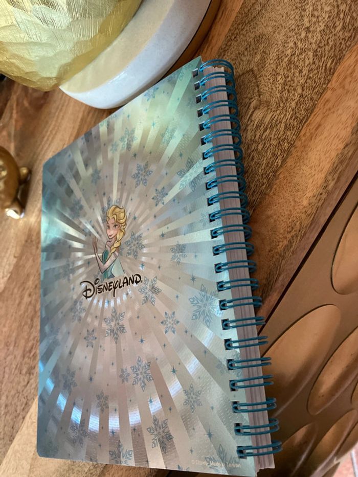 Disneyland cahier livre la reine des neiges - photo numéro 6