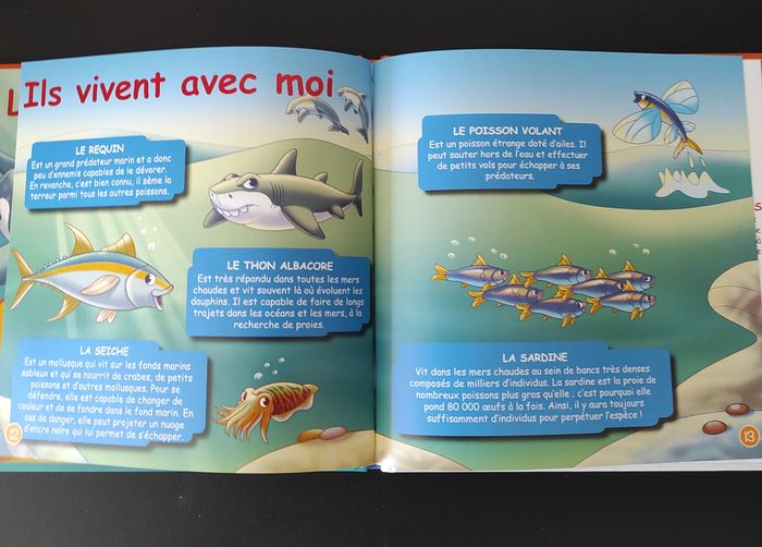 📚 Livre éducatif sur les dauphins – Très bon état - photo numéro 4