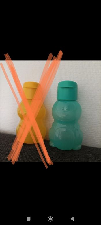 Éco bouteilles/gourde tupperware