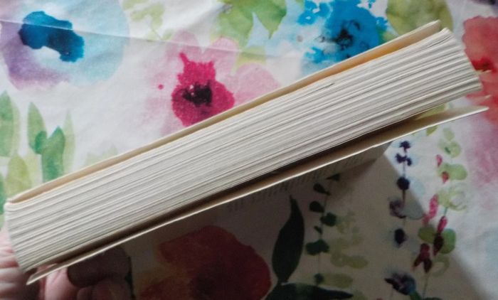 Julien ou la route à l'envers de Philippe Ragueneau Ed. Albin Michel - photo numéro 5