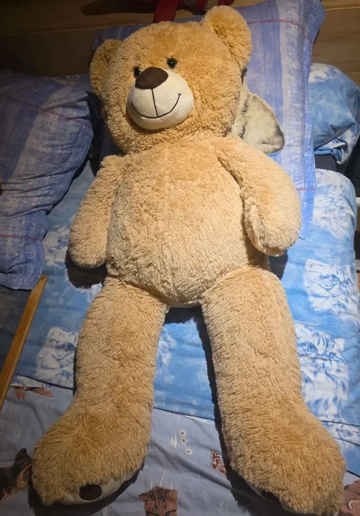 Nounours XXL - photo numéro 2