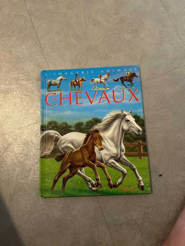 L’imagerie des chevaux - photo numéro 2
