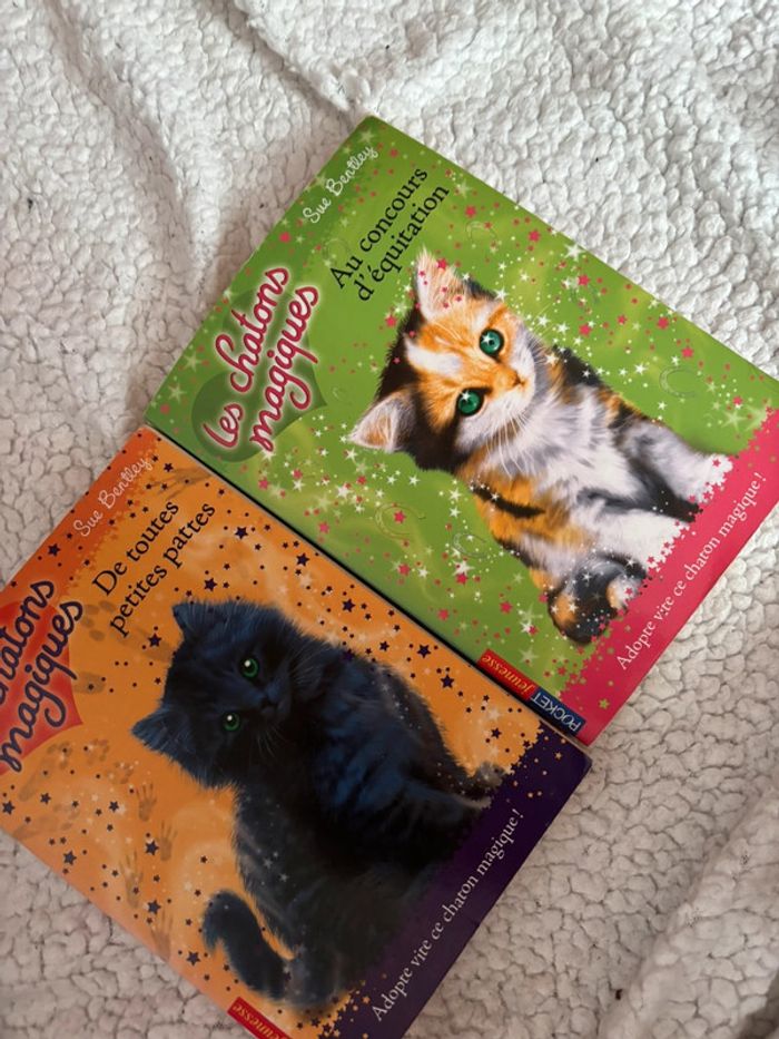 Livre les chatons magiques