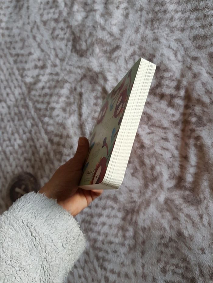 Georges a la bougeotte - Alice a les chocottes - photo numéro 5