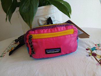 Sacoche Patagonia 1l NEUF