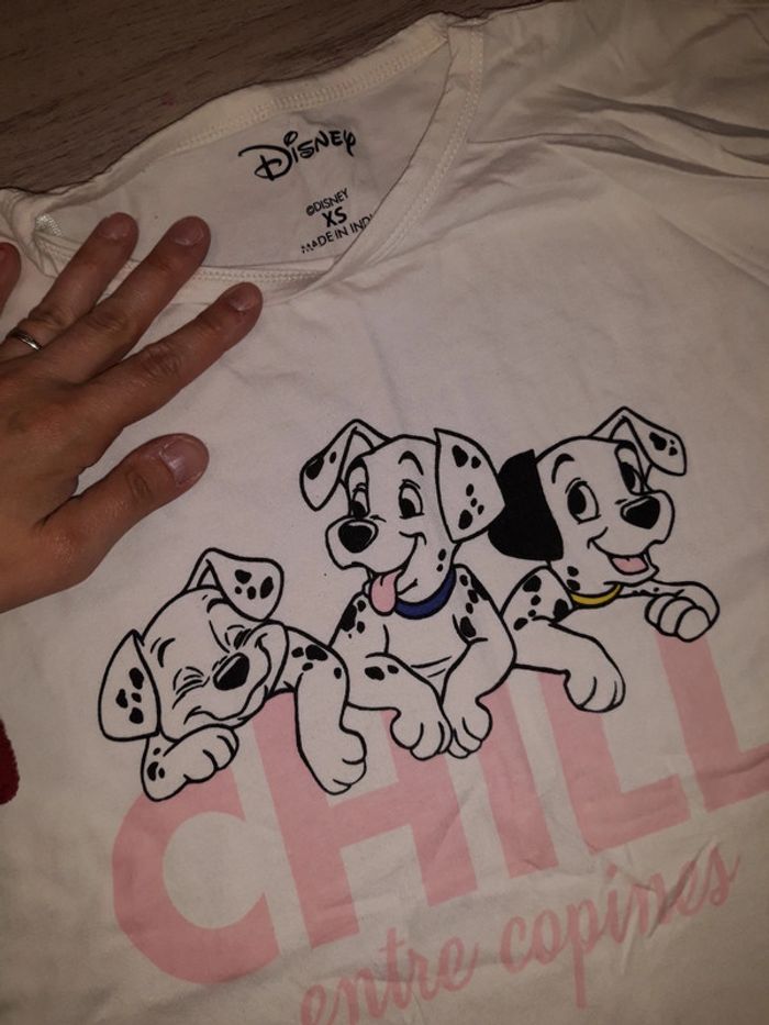 Maillot dalmatien - photo numéro 2