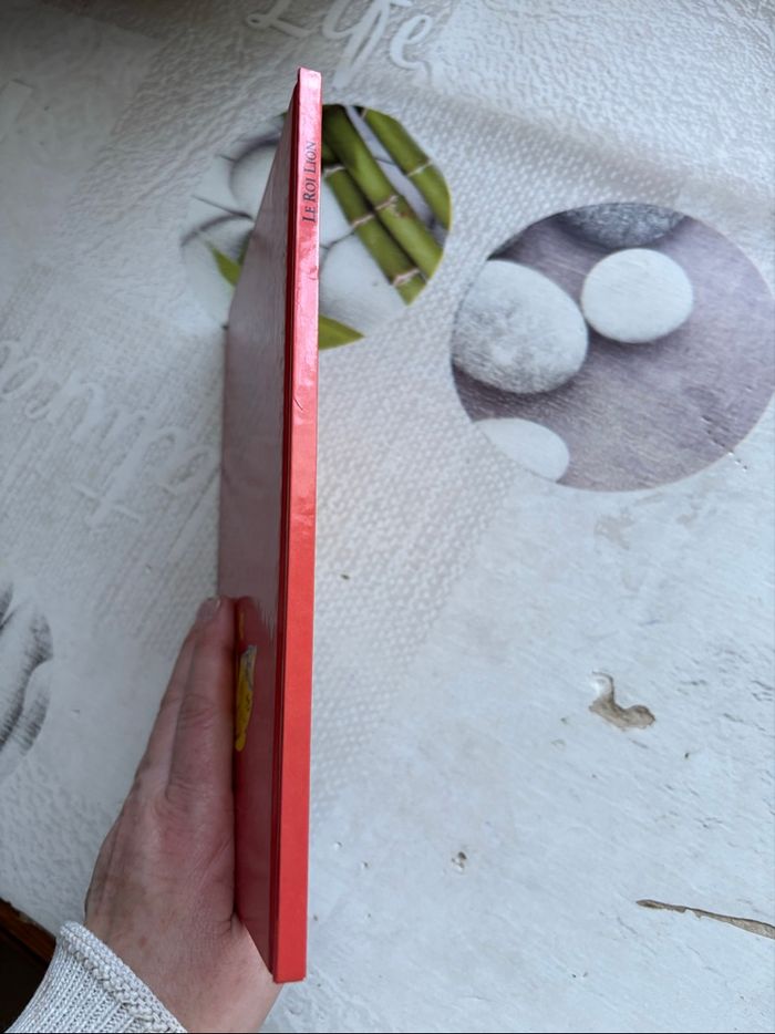 Livre Disney - photo numéro 6