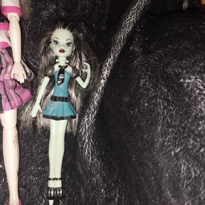Monster hight - photo numéro 4