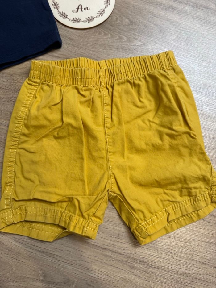 Ensemble dinosaures - photo numéro 2