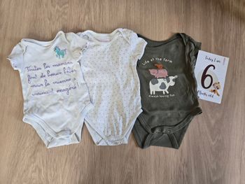 lot de 3 bodies manche courte 6 mois