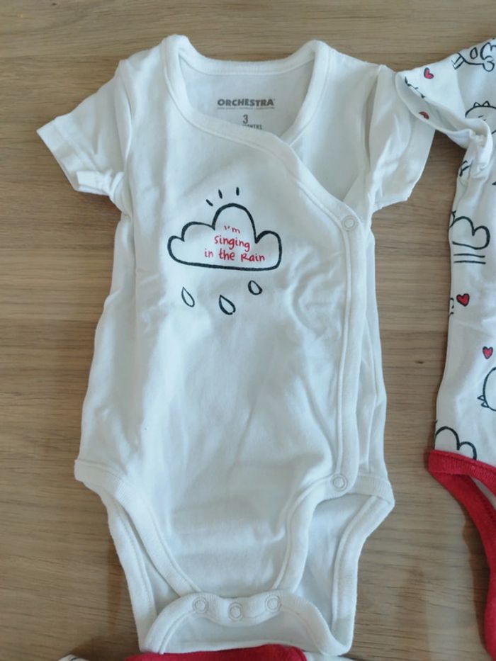 Lot de 4 bodies manches courtes - photo numéro 4