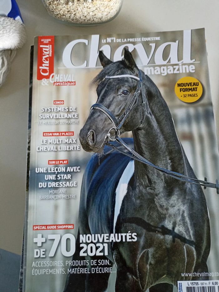 Cheval pratique - photo numéro 12