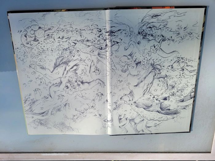 BD Trolls de Troy, Le feu occulte, tome 4 (11) - photo numéro 2