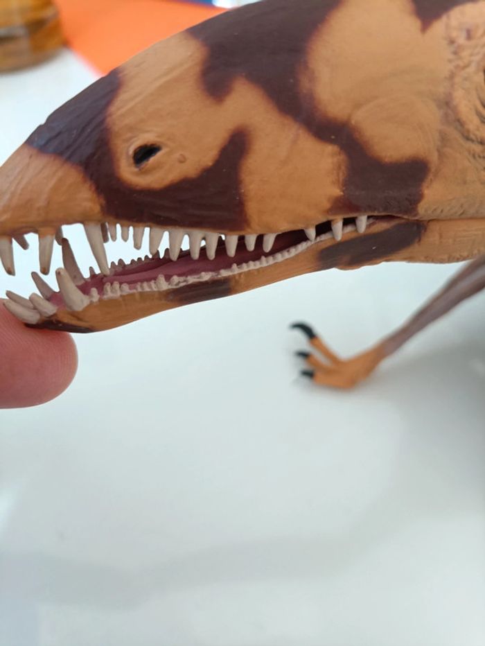 Dinosaure - photo numéro 2