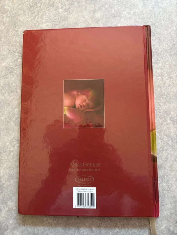 livre naissance avec photos de anne Geddes neuf - photo numéro 2