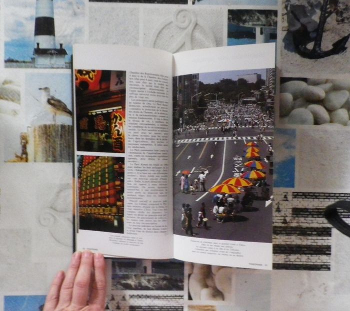 Le Japon aujourd'hui par Clarisse Desiles - photo numéro 2