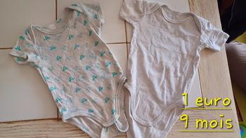 Lot de 2 bodies été  9 mois
