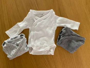 Lot 5 bodies
