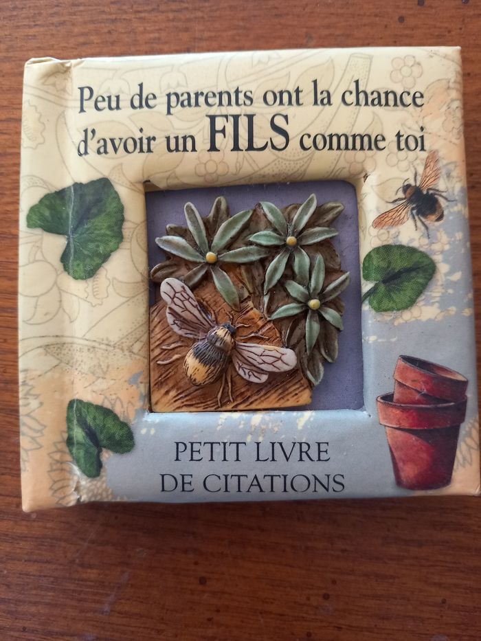 Mini livre peu de parents ont la chance d'avoir un fils comme  toi