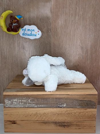 DDC352 Doudou et compagnie lapin 🐰