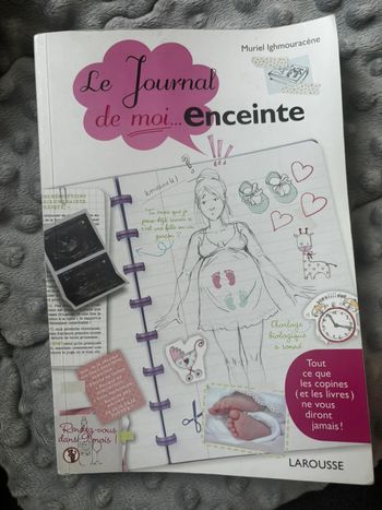 Livre le journal de moi enceinte