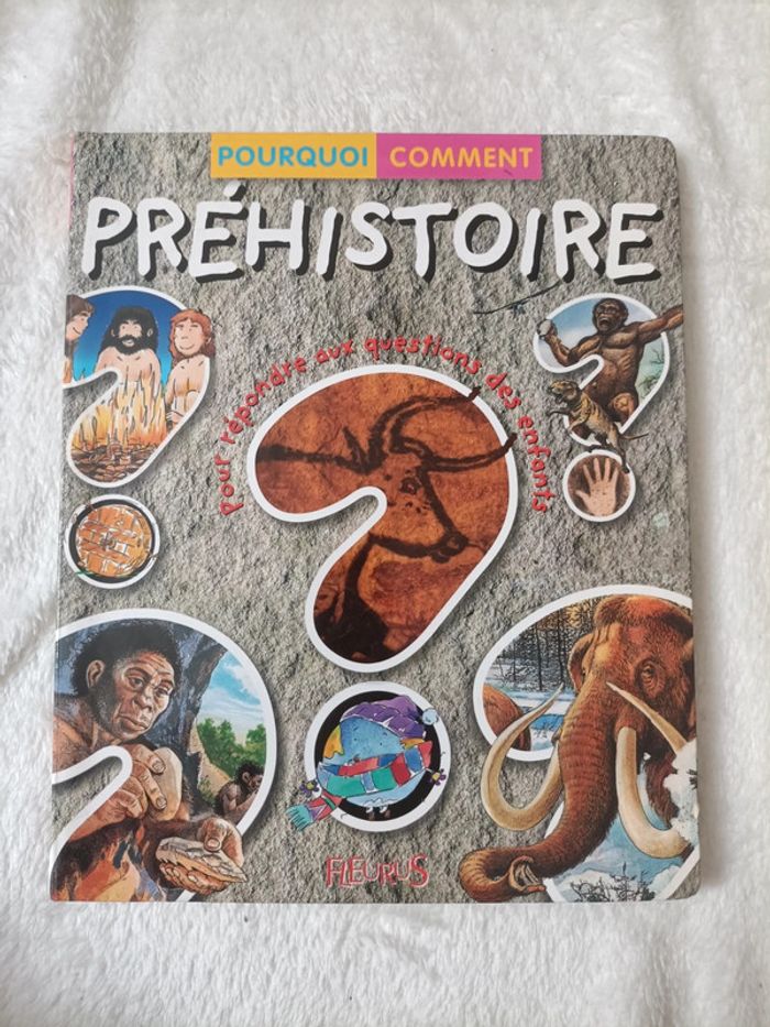 Pourquoi ? Comment ? La Préhistoire
