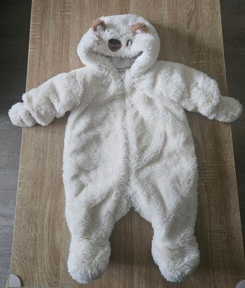 Combien ourson polaire