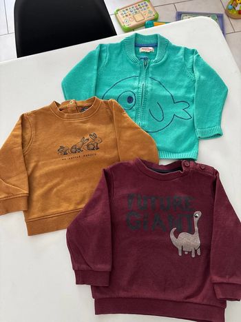 Lot de 3 sweat-shirt 18 mois