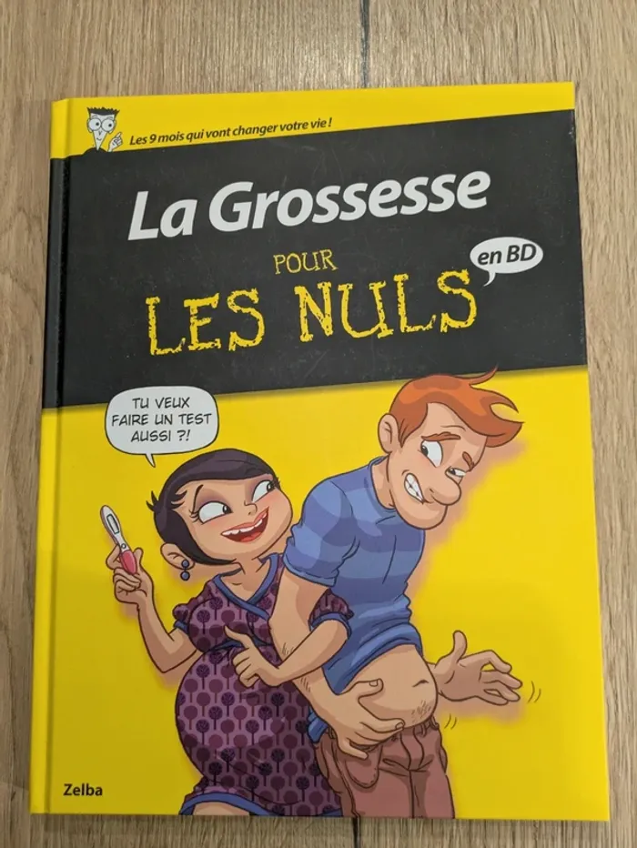 Livre la grossesse pour les nuls
