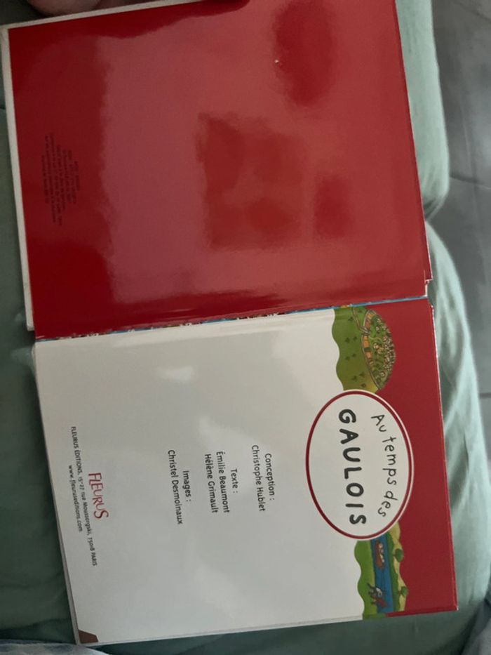 La petite imagerie au temps des gaulois - photo numéro 5