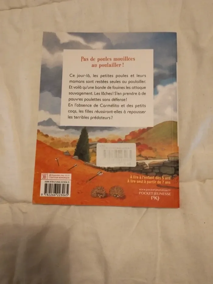 Pas de poules mouillées au poulailler - photo numéro 2