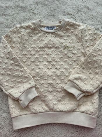 👚 pull -fille - 5 ans 108-114cm- fashion private company- très bon état