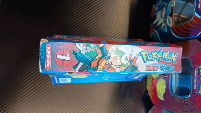 Manga pokémon rubis et saphir - photo numéro 2