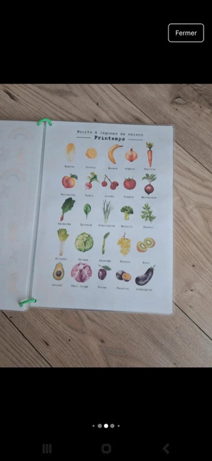 Livret d'activités thème printemps. Pédagogie montessori. Busy book quiet book - photo numéro 12