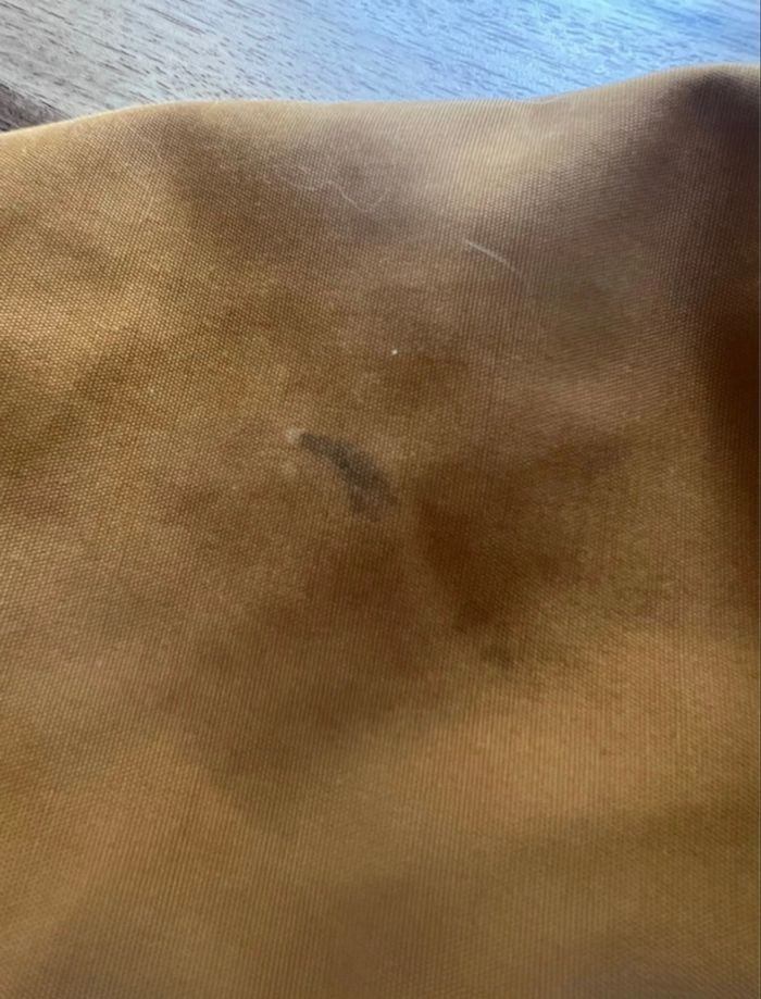 Teddy TAO 8 ans - photo numéro 4