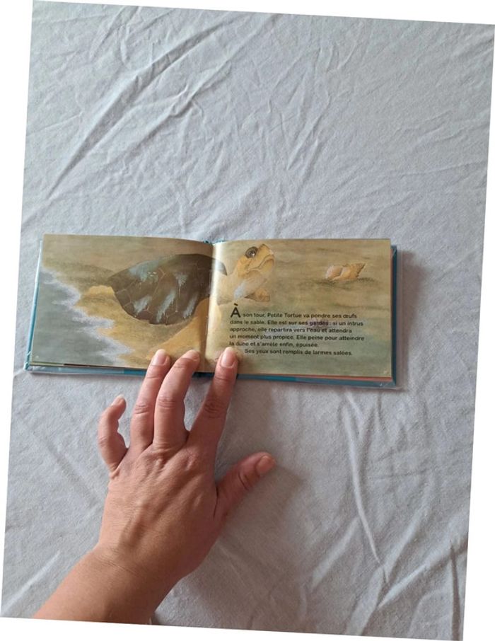 Livre Petite Tortue Casterman - photo numéro 8