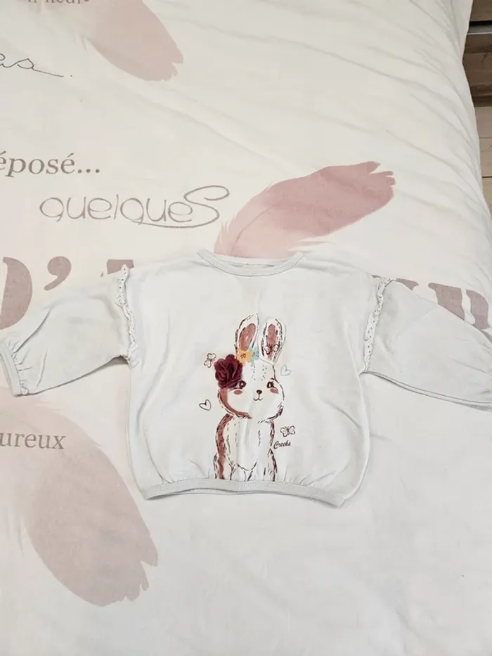 Pull 12 mois, Creeks - photo numéro 2