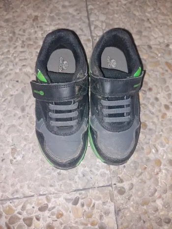 Baskets geox