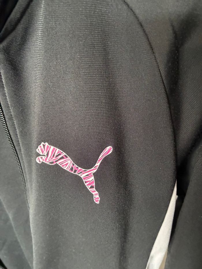 Ensemble puma - photo numéro 2