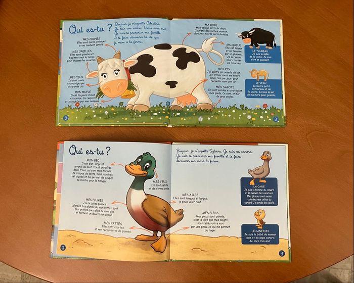 Lot de 2 livre canard et vache - photo numéro 3