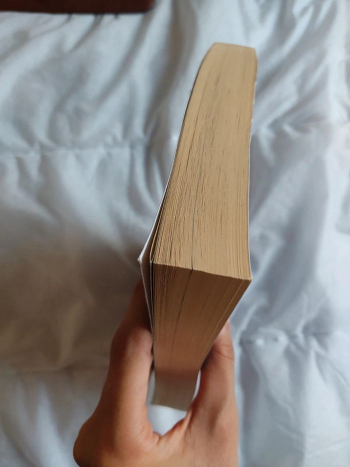 Livre - La cité en flammes - Don Winslow - TBE - photo numéro 5