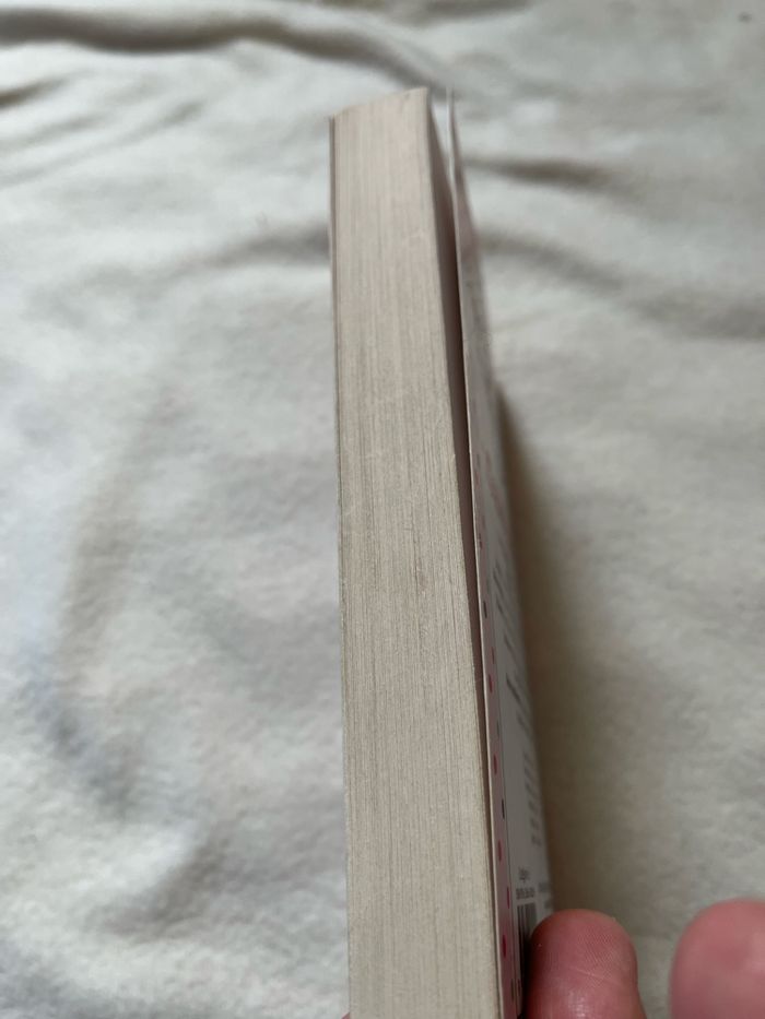 Cœur cerise roman - photo numéro 4