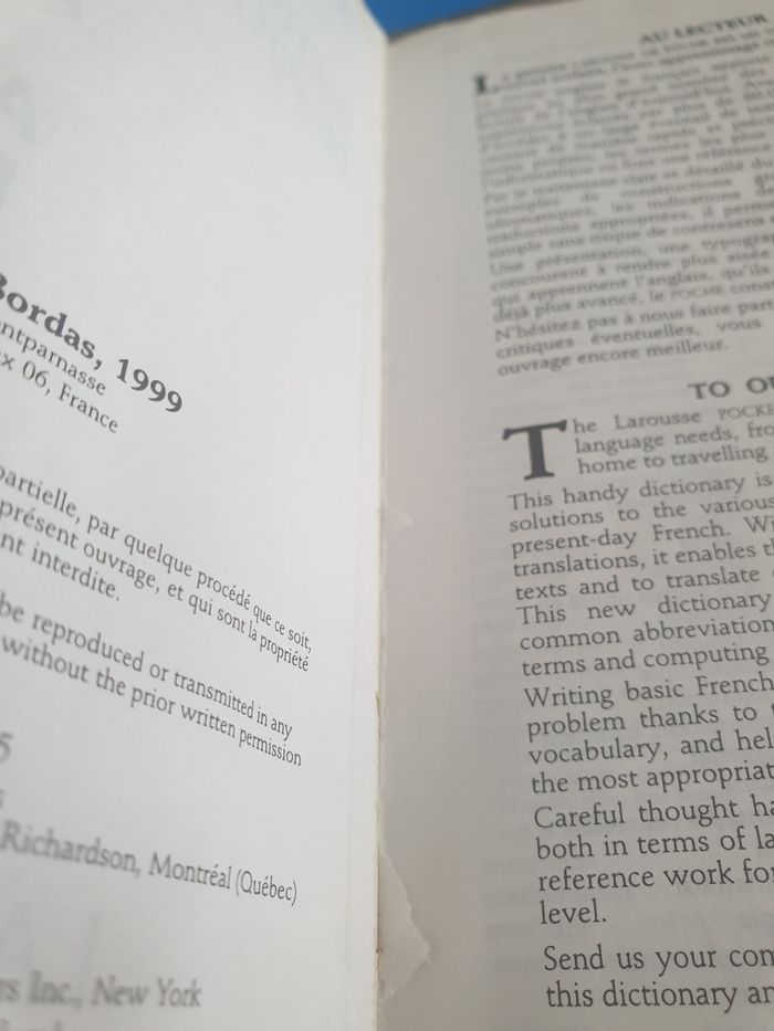 Dictionnaire de piche français anglais larousse - photo numéro 3