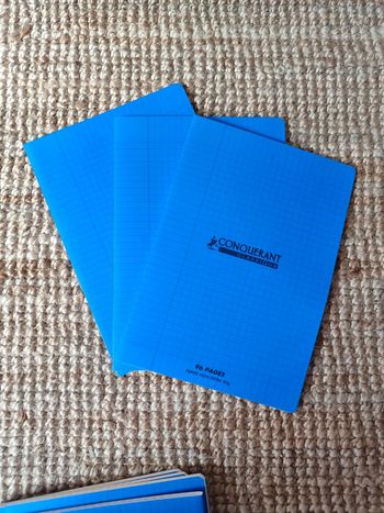 Lot de 3 Cahiers A4